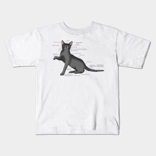 Anatomy of a Cat Kids T-Shirt